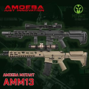 Amoeba Mutant - AMM13